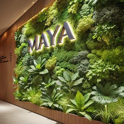 Maya Appartements & Suites Cosne-sur-Loire Eksteriør billede
